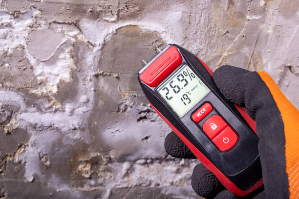 Best Residential Mold Removal  in Rolla, MO