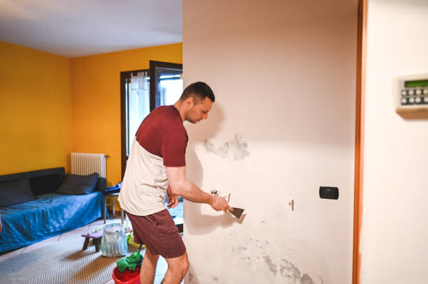 Best Professional Mold Removal  in Rolla, MO